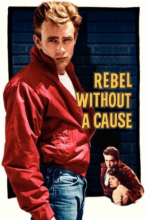 Asi Gençlik izle