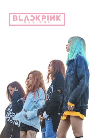 Blackpink: Light Up the Sky izle